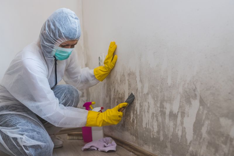 Attic Mold Remediation