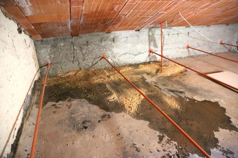 Attic Mold Remediation