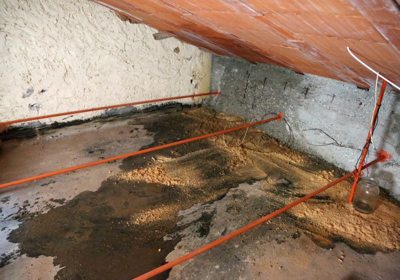 Attic Mold Remediation