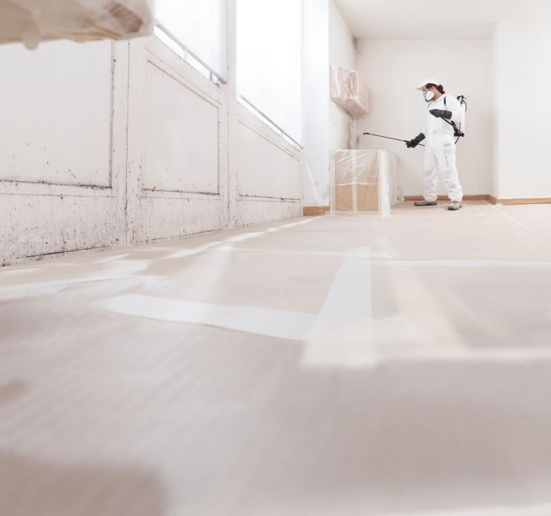 Attic Mold Remediation
