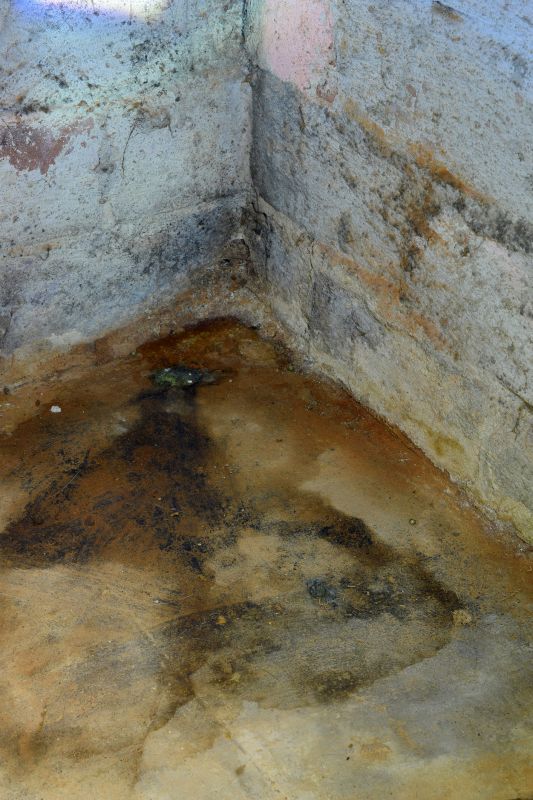 Basement Mold Remediation
