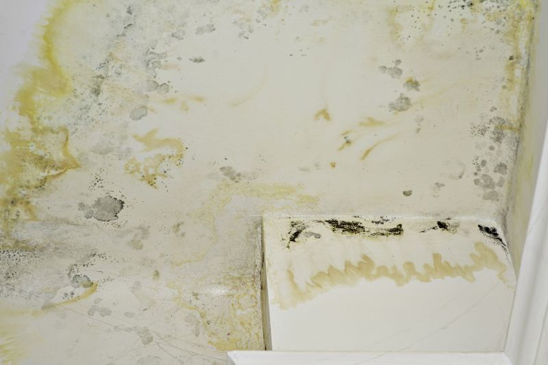 Bathroom Mold Inspection