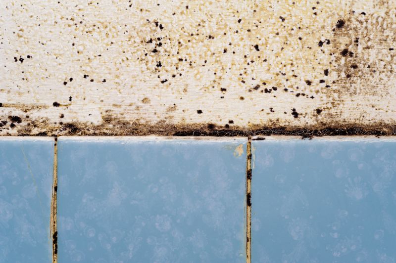 Bathroom Mold Testing