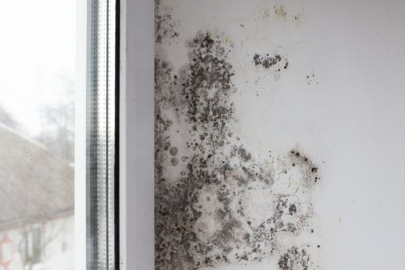 Black Mold Detection
