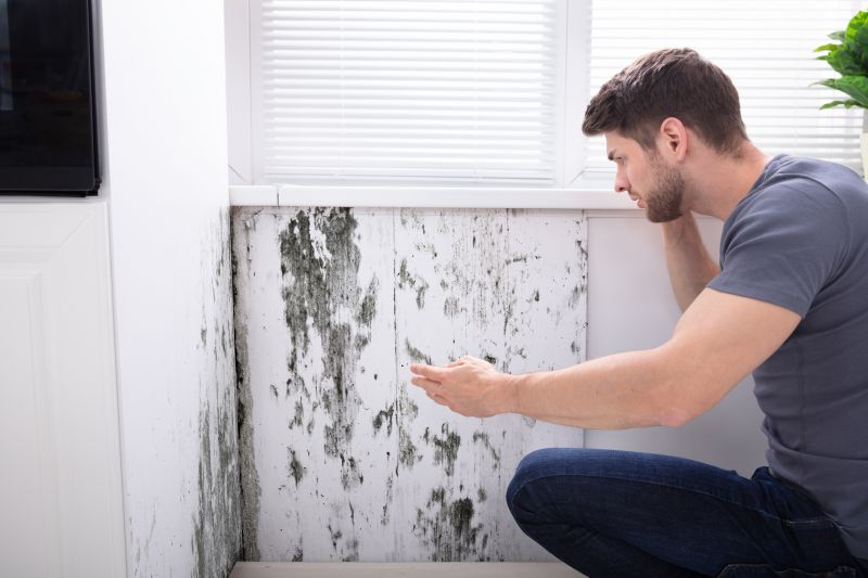 Black Mold Inspection