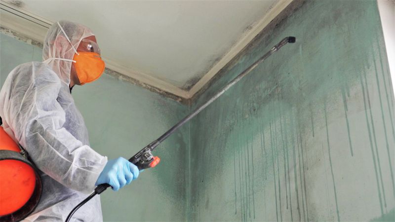 Black Mold Remediation