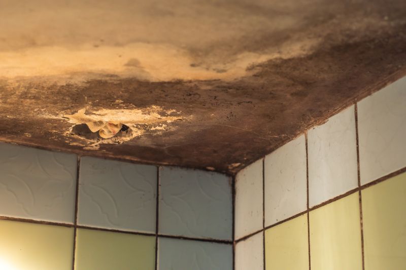 Ceiling Mold Removal