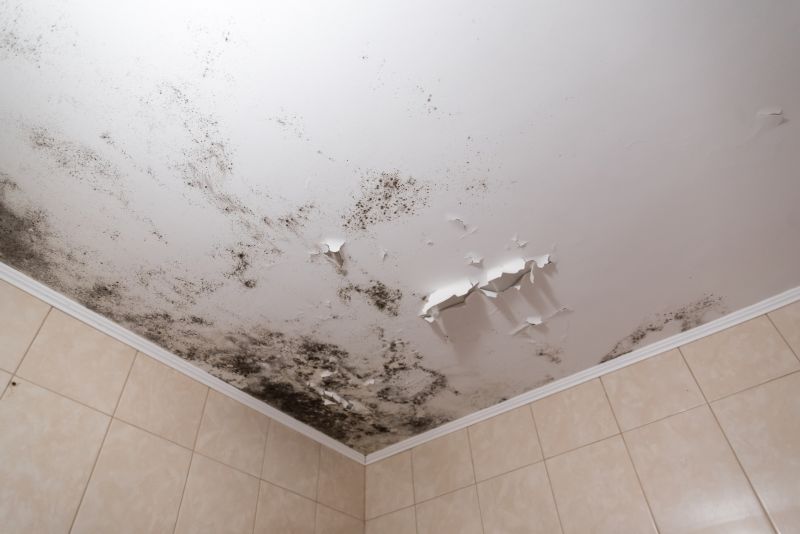 Ceiling Mold Removal