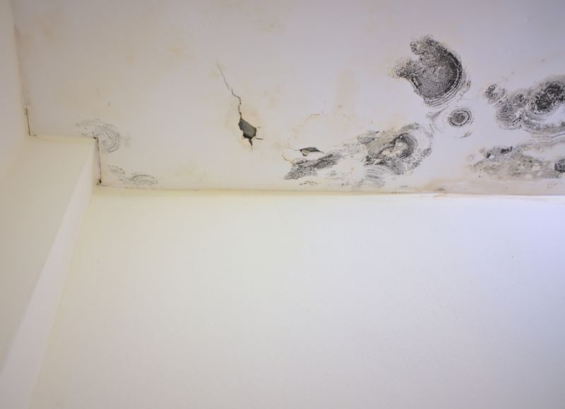 Ceiling Mold Removal