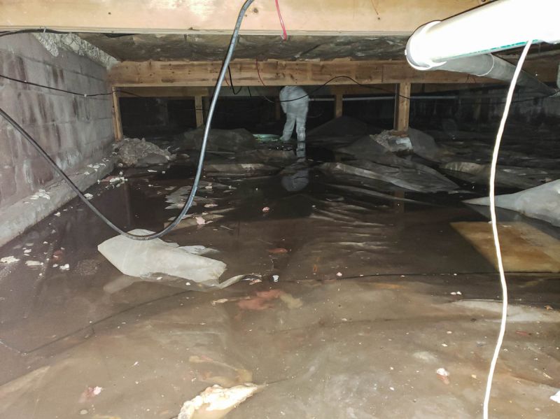 Crawl Space Mold Removal