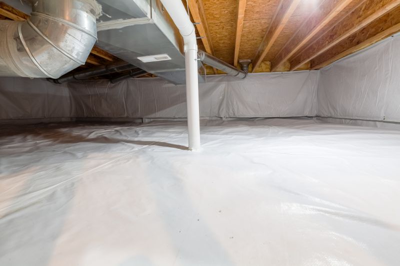 Crawl Space Mold Removal
