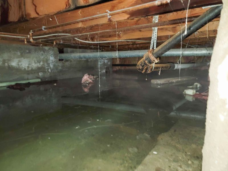 Crawlspace Mold Remediation