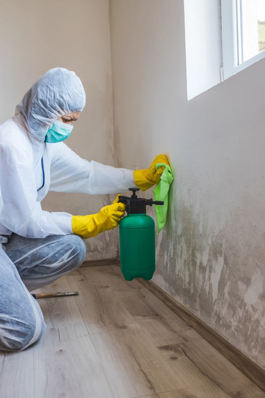 Mold Mitigation Service detail