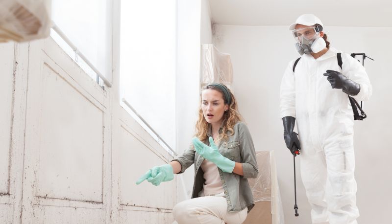 Mold Mitigation Service detail
