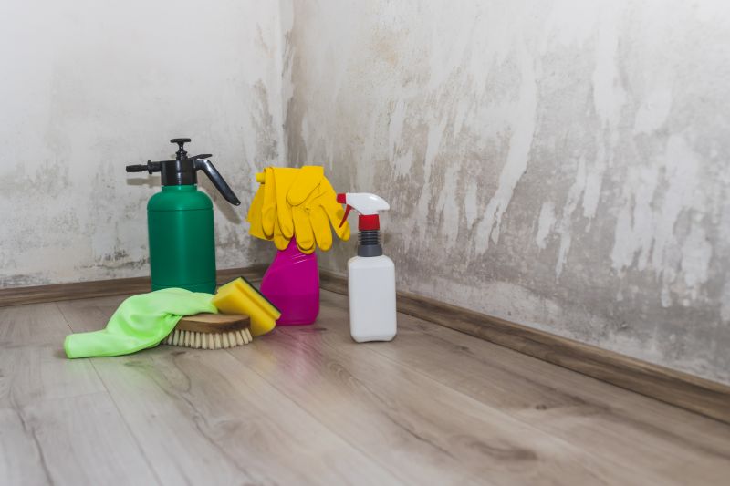 Mold Remediation Service detail