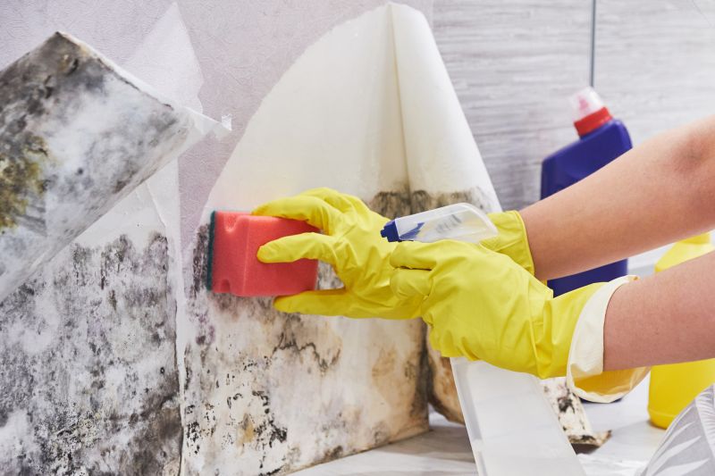 Mold Cleanup Service