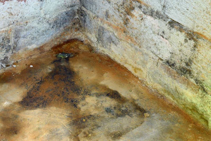 Mold in Basements