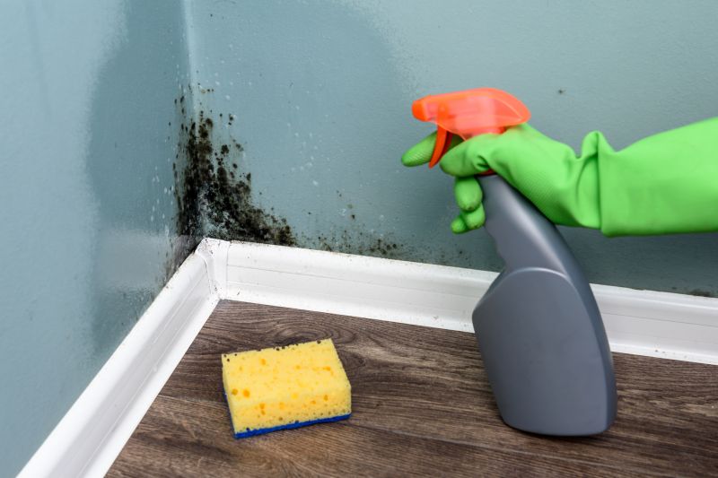 Mold Treatment Service