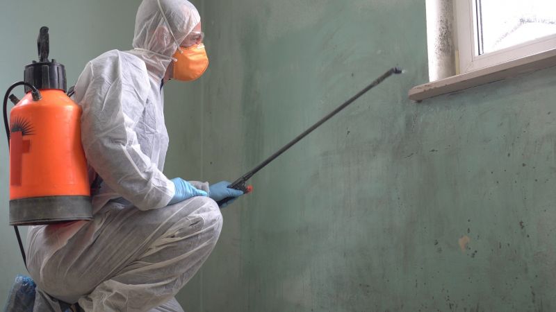 Mold Treatment Service