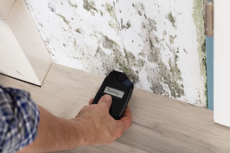 Residential Mold Testing