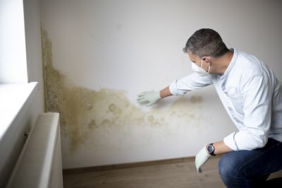 Residential Mold Testing