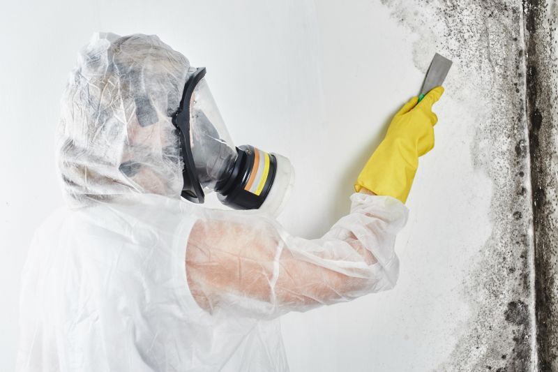 Qualified Mold Remediation Experts