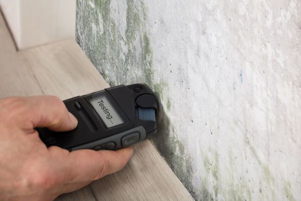 Mold Testing Service in Alexandria