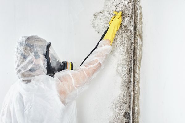 Commercial Mold Remediation Service
