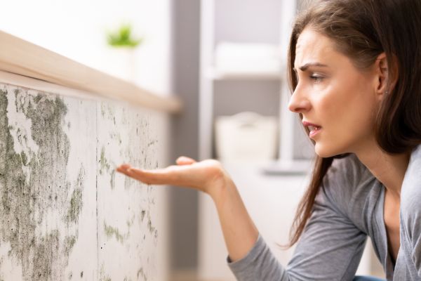 Mold Detection Service in Alexandria