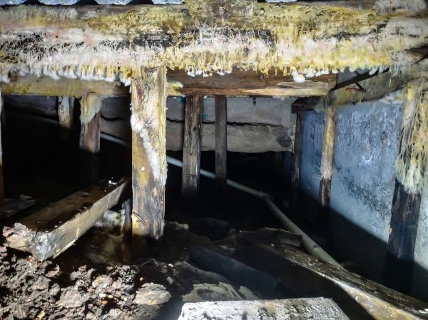 Crawlspace Mold Remediation Service
