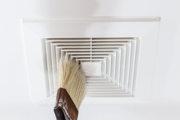Air Duct Mold Removal in Alexandria