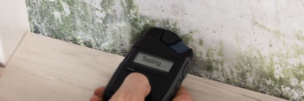 Shower Mold Testing Service